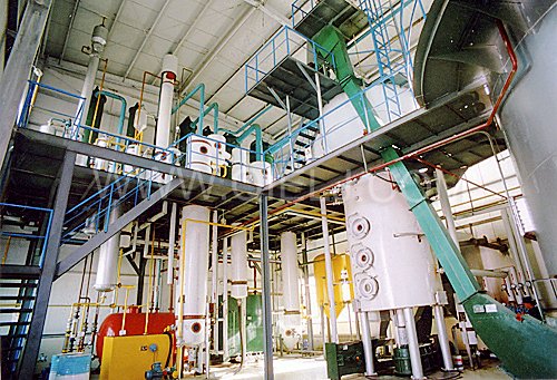 ������Ó����